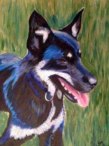 1450229 10101195543872621 527654875 n