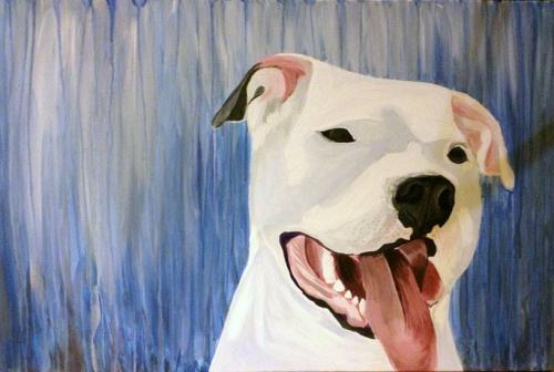 1476085 10101195543852661 263504430 n