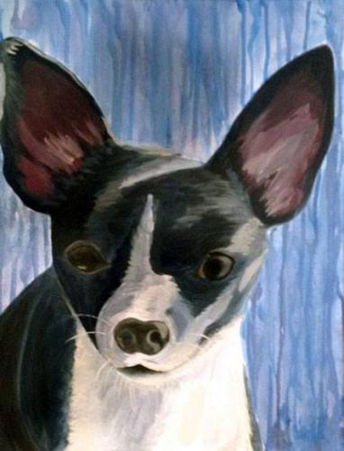 1478951 10101195543832701 181426057 n