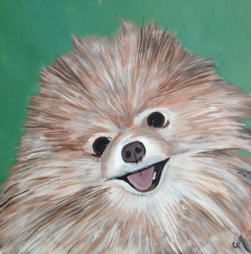 1965531 10101664632704841 7702380402123382432 o